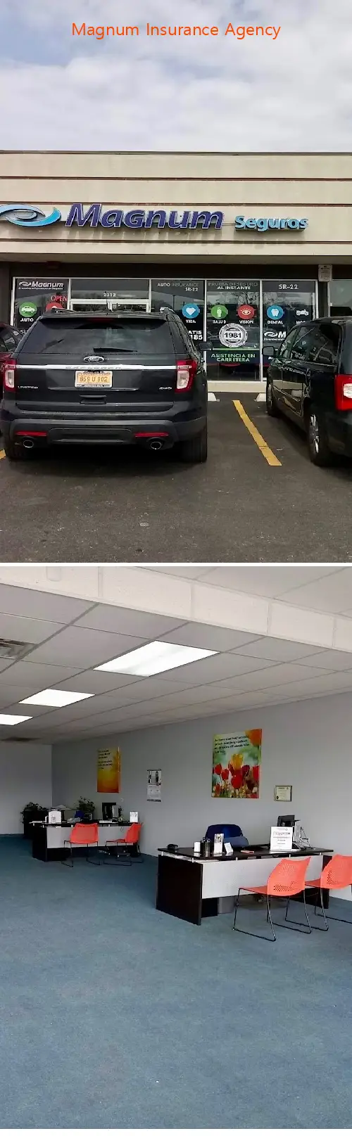 Magnum Insurance Agency