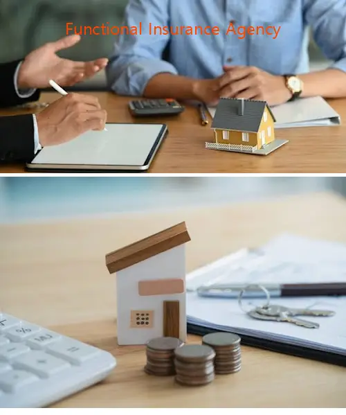 Functional Insurance Agency