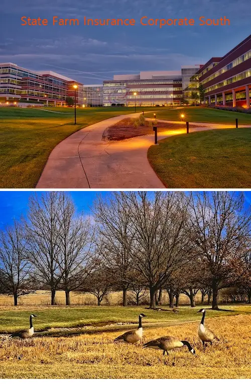 State Farm Insurance Corporate South