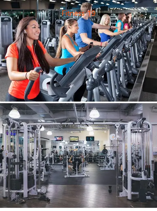 Fitness 19