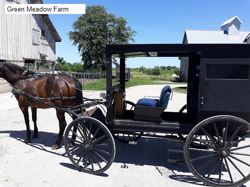 Green Meadow Farm