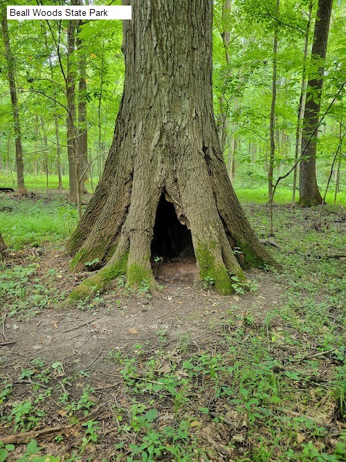 Beall Woods State Park